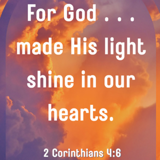 374: Wired to Shine: Your Brain, the Bible, and the Beauty of Light (TFTD #25)