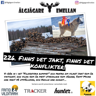 226. Finns det jakt, finns det konflikter!