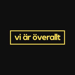 rss-vi-ar-overallt