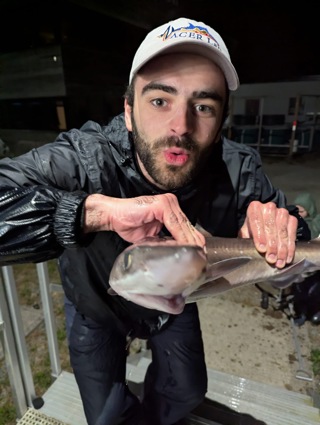 377- Sharks, Steroids, and Symbiosis with Elliot Cederberg
