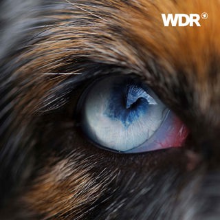 Mit Tieren gehen -  Auf den Spuren der Mensch-Tier-Beziehung