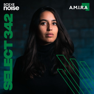 Select 342: Mixed by A.M.I.R.A