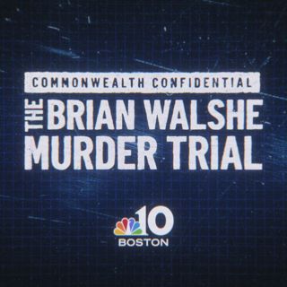 Breaking down Brian Walshe's murder conviction