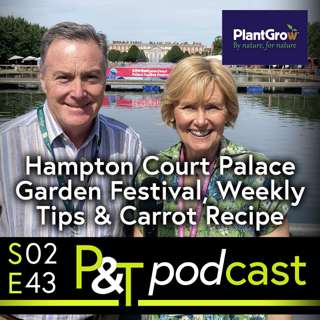 Hampton Court Palace Garden Festival - Grow Roses on any Soil! Carrot Recipe & Floral Marquee
