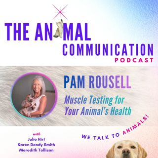 Muscle Testing for Your Pet's Health with Pam Roussell