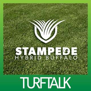 E61 - Stampede Hybrid Buffalo with Joe and Simon