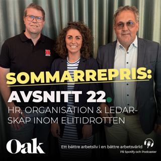 SOMMARREPRIS: 22. HR, organisation och ledarskap inom elitidrotten