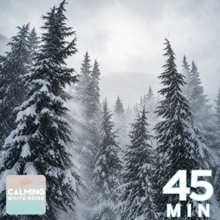Wind Through Snowy Pines for Sleep | 45 Minute Snowstorm Sounds