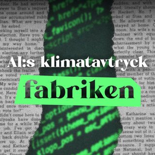 AI:s utsläpp - Så mycket kostar en kattvideo klimatet