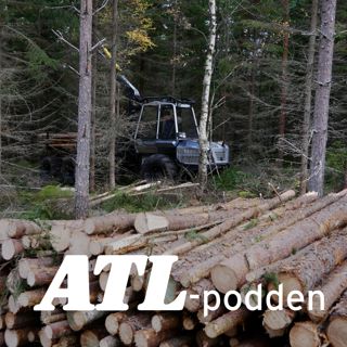 Vildsvin, betkampanj och det senaste för gallring