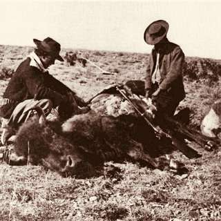 Reliving the Buffalo Hunting Era: Triumphs, Trials, and Tales from the Wild West