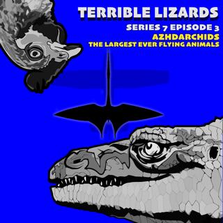TLS07E03 Azhdarchids