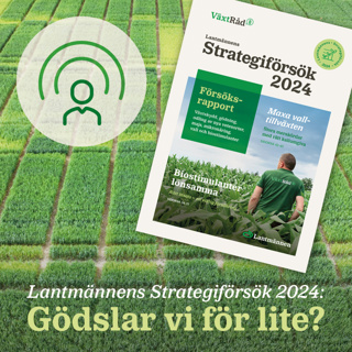 78. Lantmännens Strategiförsök 2024: Gödslar vi för lite?