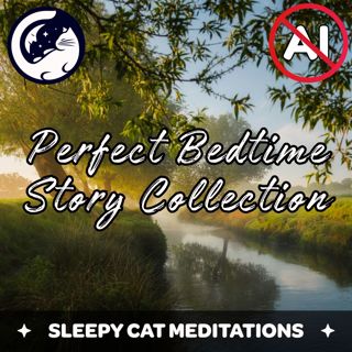 The Perfect Sleep Story Collection (10-Hours)