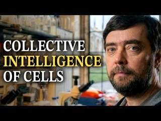 Michael Levin: Why Biology Holds the Key to Consciousness