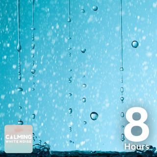 Sound of Rain (8 Hours) | Relaxing Rain Sounds for Sleep, Meditation, and Study