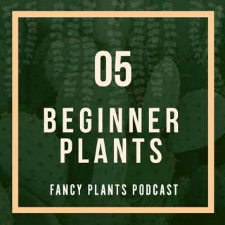 05. Beginner Plants