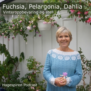 34/25: Tilbakeblikk - Vinteroppbevaring og stell av fuchsia, pelargonia og dahlia med Anne Starholm