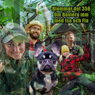 356 Fia och Isa