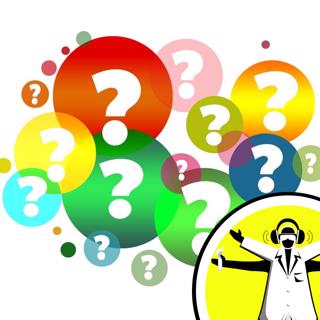 Can a Shrimp Punch Through Glass?