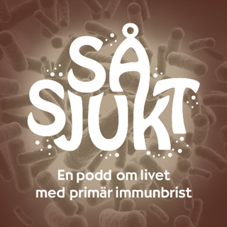 Avsnitt 33: PIOs medlemsmöte - Röster, råd och gemenskap