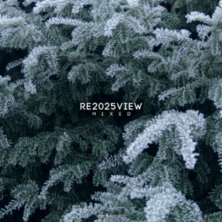 RE2025VIEW, mixed