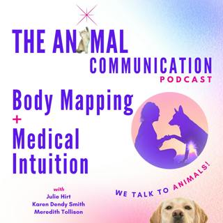 Body Mapping and Medical Intuition