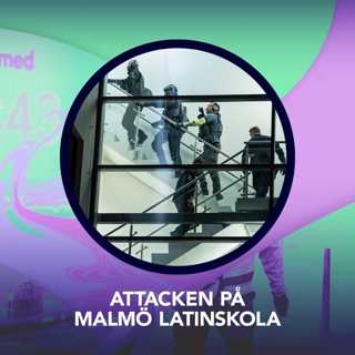 Attacken på Malmö latinskola – P3 Nyheter Dokumentär
