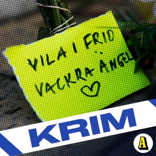 Mordet i idrottshallen & mordet på Gent