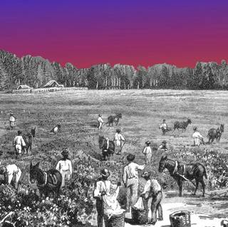 What Kids Aren't Learning About US History