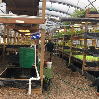 Ep. 42 Aquaponics at Nile Valley
