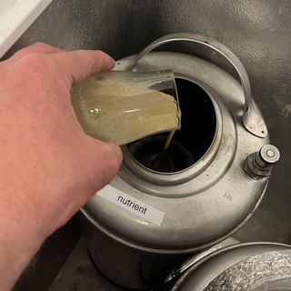 Impact Yeast Nutrient Has When Reusing Yeast In A Saison