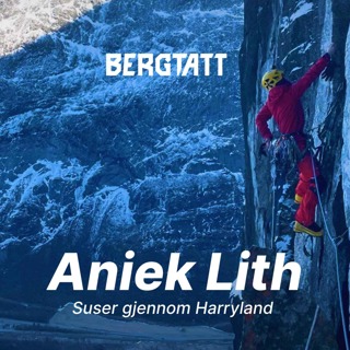 Aniek Lith | Suser gjennom Harryland
