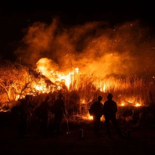Have the wildfires exposed America's class divide?