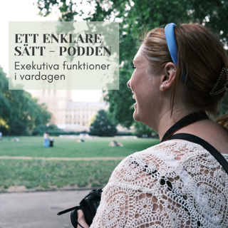 Exekutiva funktioner i vardagen