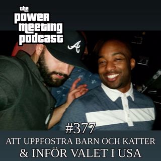 #377 – Att uppfostra barn och katter & inför valet i USA