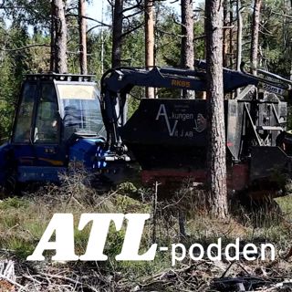 Askspridning, fårklippning och ny bikupa