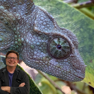 What Sunken-In Chameleon Eyes Mean