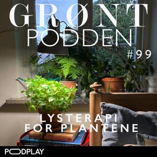 #99 Lysterapi for plantene