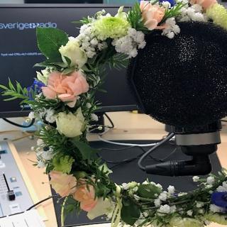 Sommar i P1 - bakom kulisserna