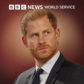 Prince Harry: Is his safety at risk?