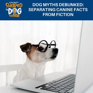 Dog Myths Debunked: Separating Canine Facts From Fiction #244