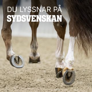 Skandalerna har avlöst varandra – hur ska ridsporten gå vidare?