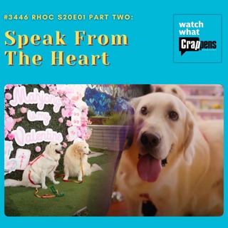 #3446 RHOC S20E01 Part Two: Speak From The Heart