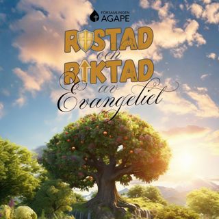Del 8 - Att samla skatter i himlen (Adam Rosman)