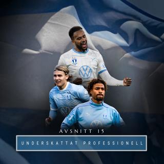 15. Underskattat professionell