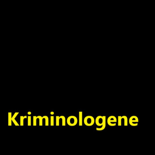 16 Anette Bringedal Houge: Internasjonal strafferett, seksuell vold i krig, representasjonsetikk