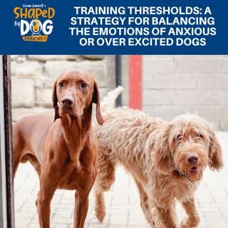 Training Thresholds: A Strategy For Balancing The Emotions Of Anxious Or Over Excited Dogs #268