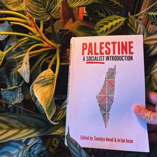 Palestine Ep. 4: False Solutions and Paths of Resistance with Sumaya Awad