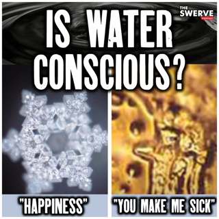 Is Water Conscious? - [PATREON TEASER: THE PRODUCER VAULT]